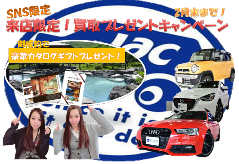 キャンペーン2月.Ｐ２